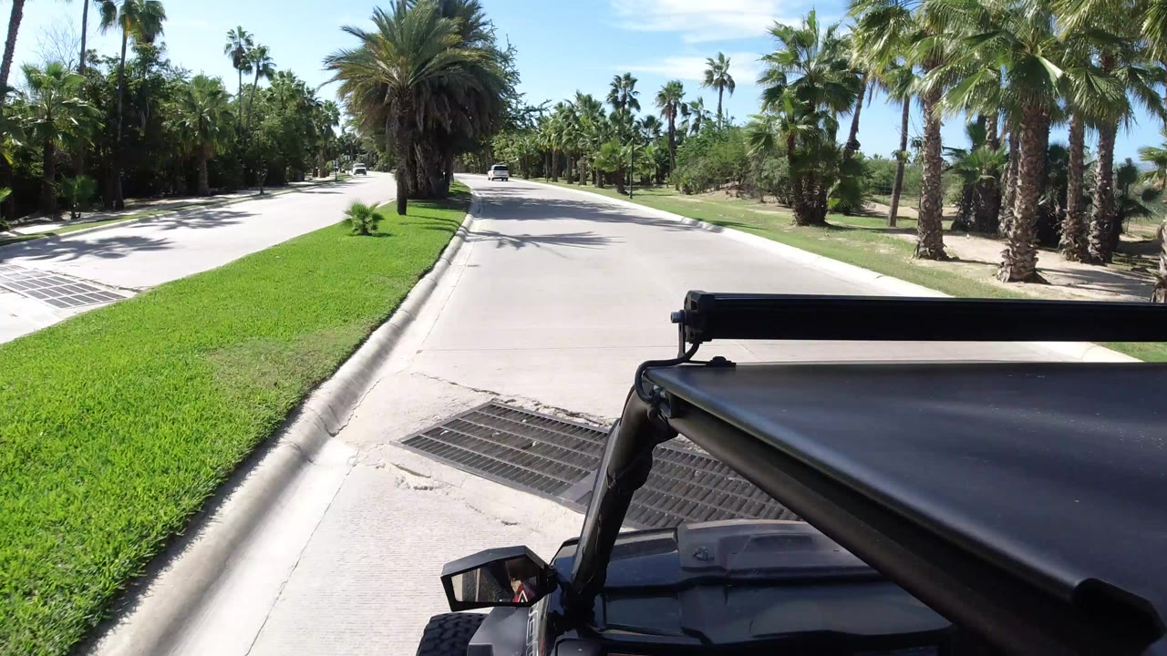 Wrangler foreground on a sunny palm-lined street