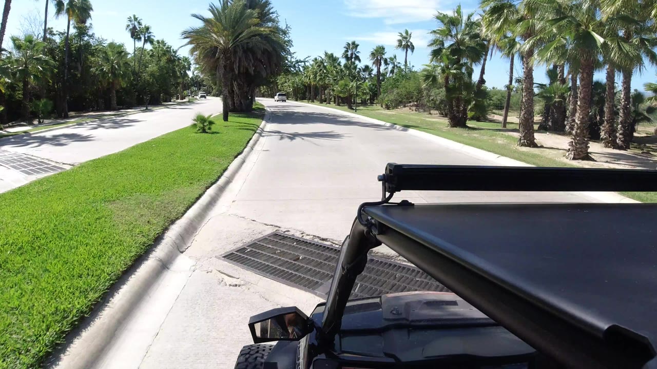 The Wrangler foreground remains at the lower right as the road runs ahead through palms, grass, and dense trees in Los Cabos with no visible people.