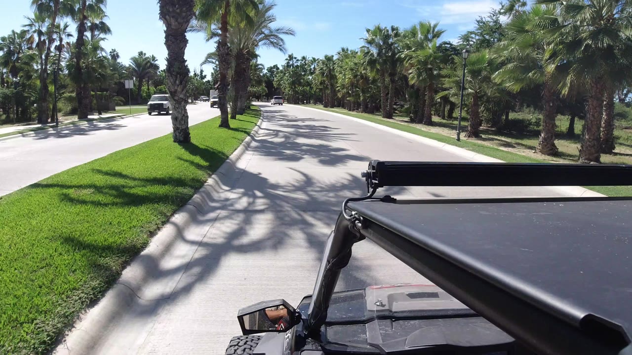 Palm-lined roadway with Jeep roof visible at lower right.