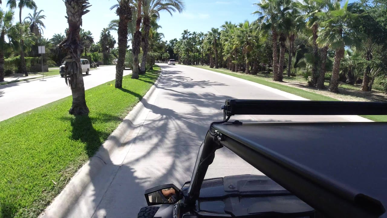 Third frame in Los Cabos shows the Jeep foreground beside a bright side road or driveway, palms close to the curb, sunlit grass, and no visible people.