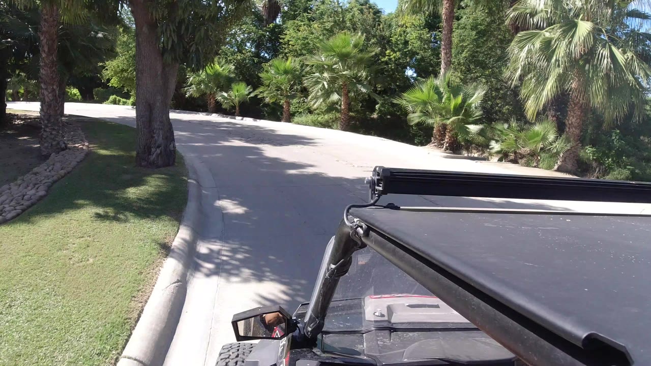 A black Wrangler roof and mirror fill the lower foreground as a pale road curves through palms and trees in Los Cabos, Mexico, with no visible people.