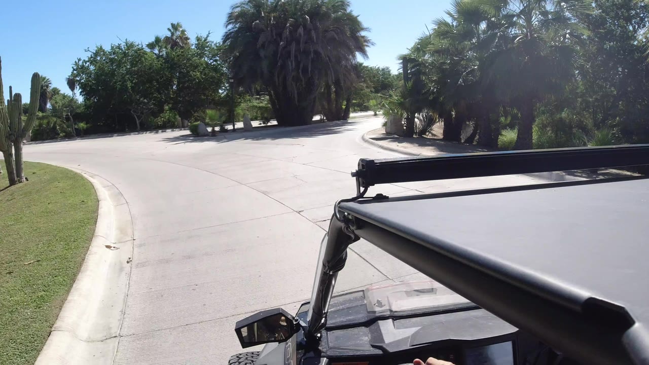 Black Wrangler foreground on a curved road lined with palms and shrubs.