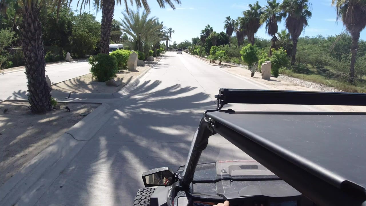 Jeep foreground on a palm-lined paved road in bright sun.