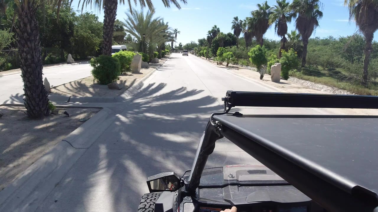 The jeep viewpoint continues down a sunlit Los Cabos road, with a central lane, palms, trimmed greenery, and the vehicle frame across the lower foreground.