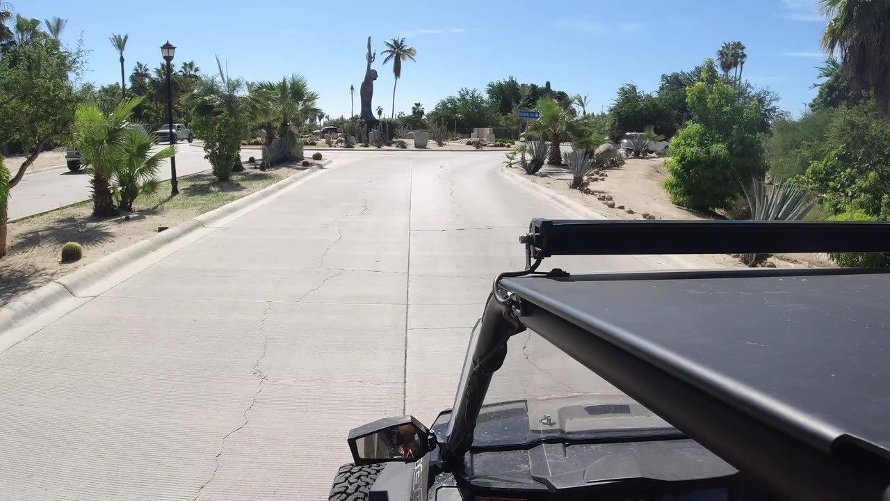 Vehicle foreground on a cracked road lined with palms and desert plants.