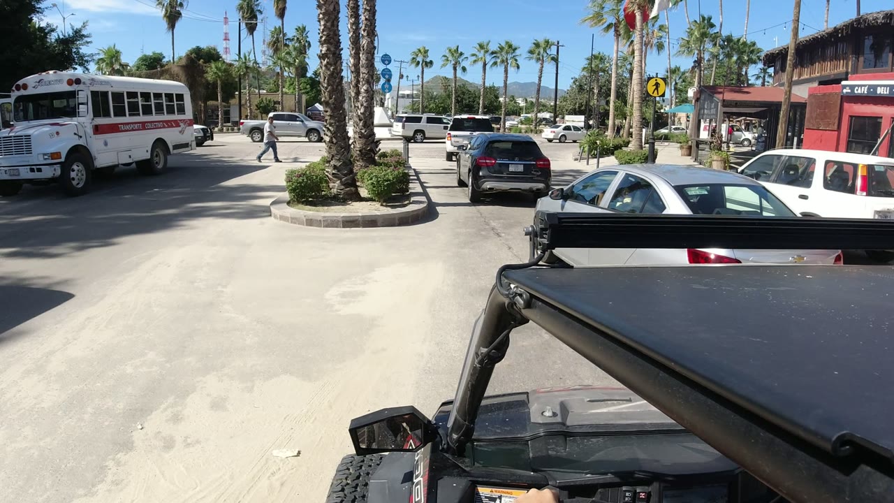 Palm-lined street with bus, cars, and open vehicle roof in foreground.