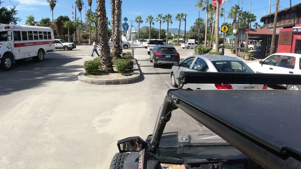 Los Cabos street frame with the bus shifted farther right, several cars near the curb, palm trunks along the median, and a distant pedestrian crossing near the background.