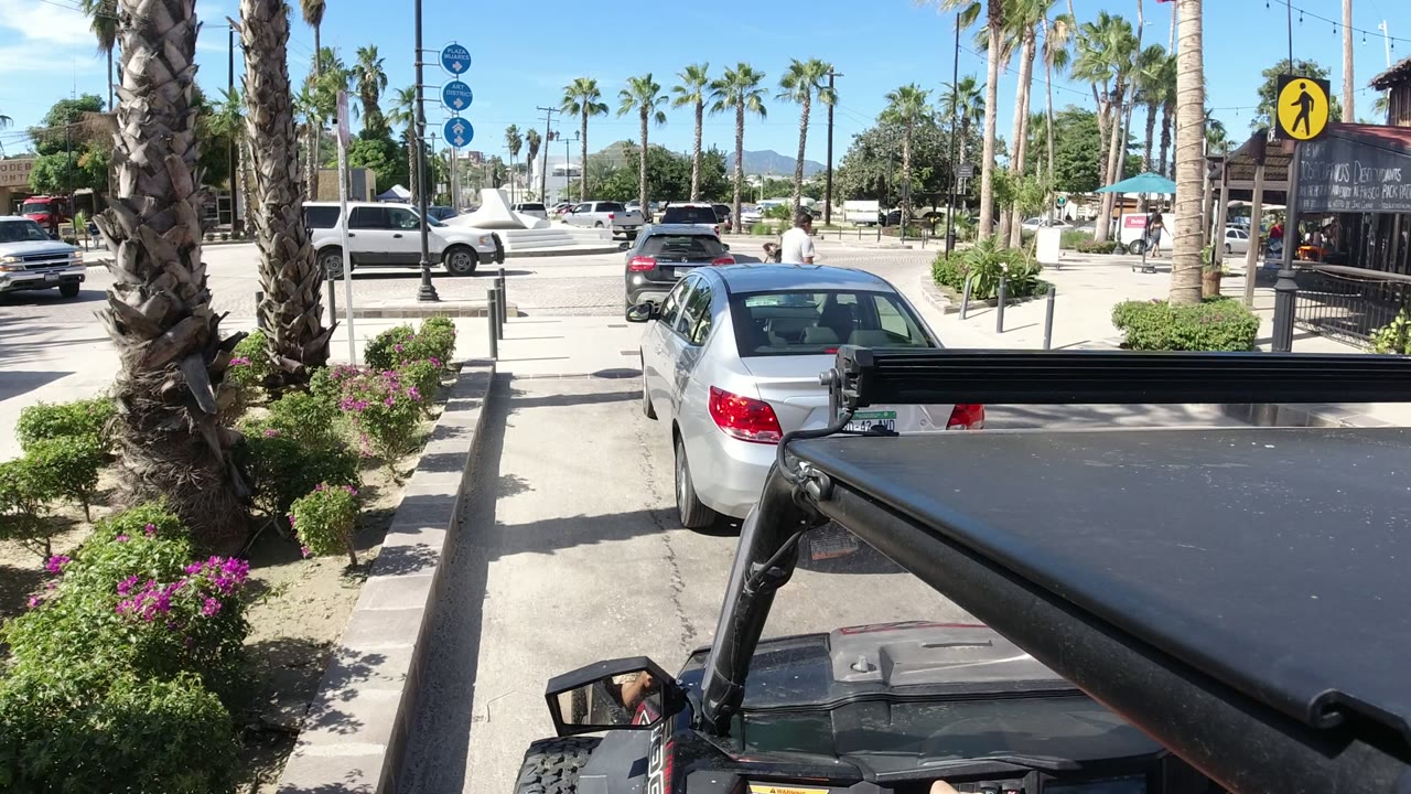 Street view past vehicle roof toward palms, cars, and roadside signs.