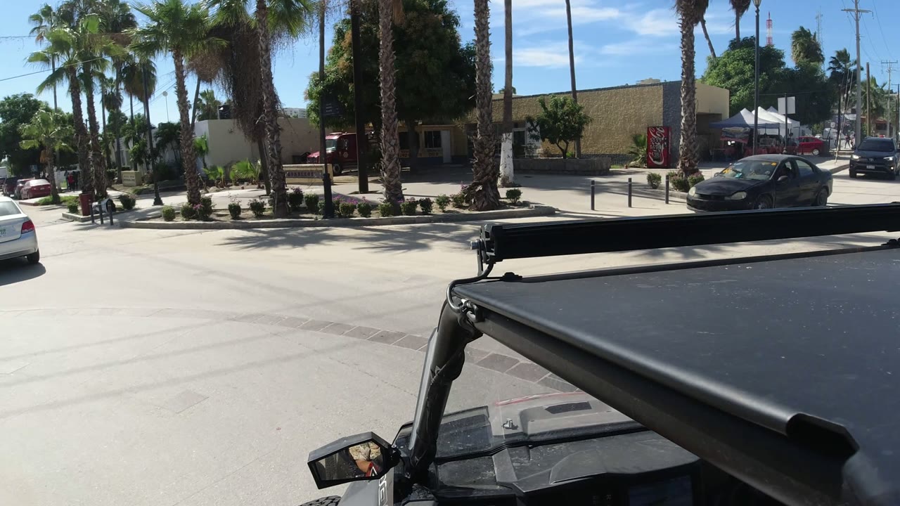 Palm-lined street viewed over a black vehicle roof.