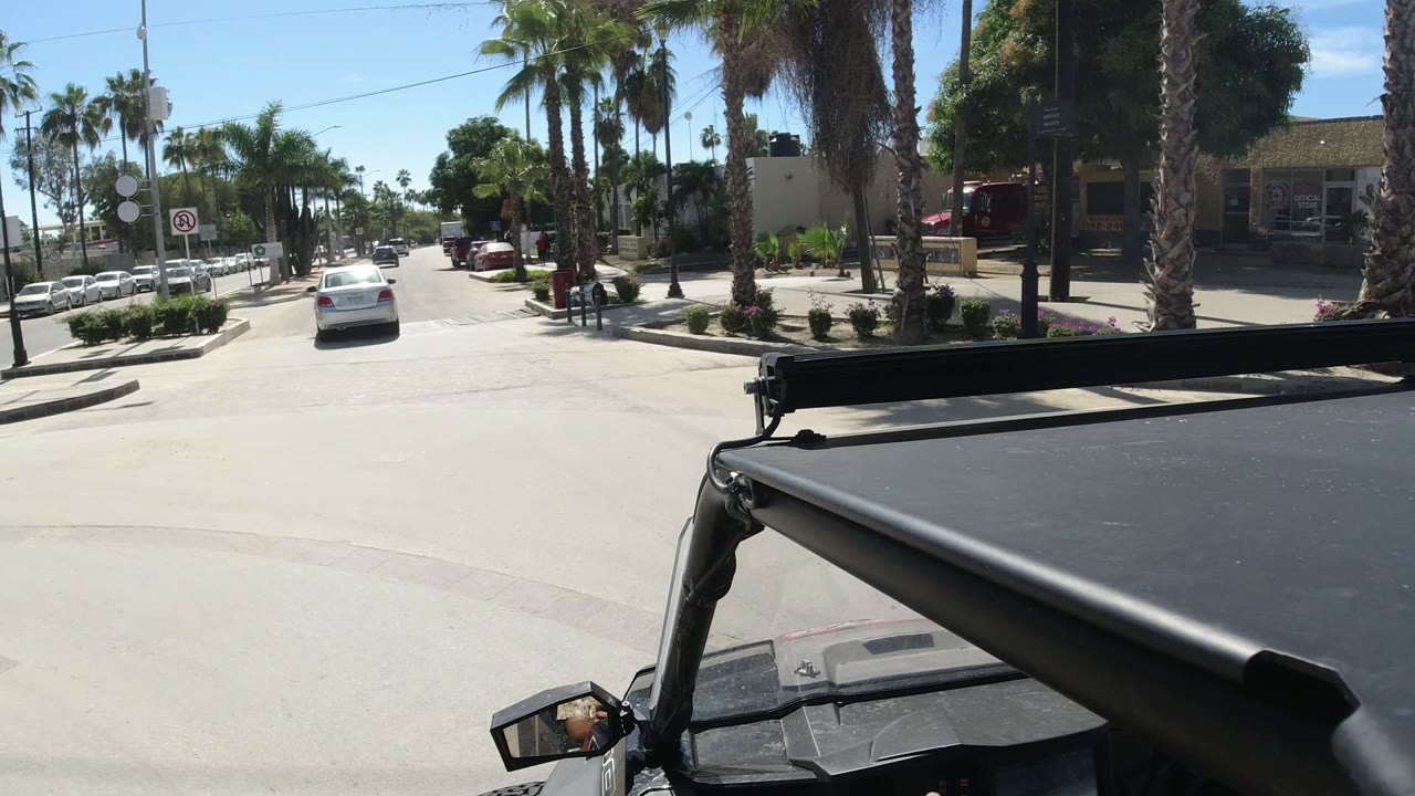 Los Cabos road scene from a moving vehicle perspective, showing a white car ahead, palms lining both sides, low buildings, and no visible people.