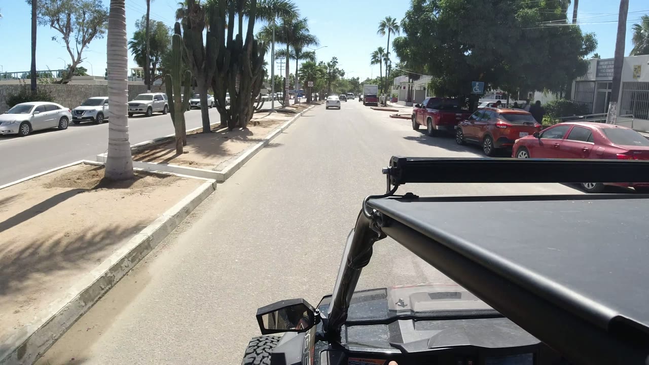 Wrangler POV on a palm-lined street with parked cars