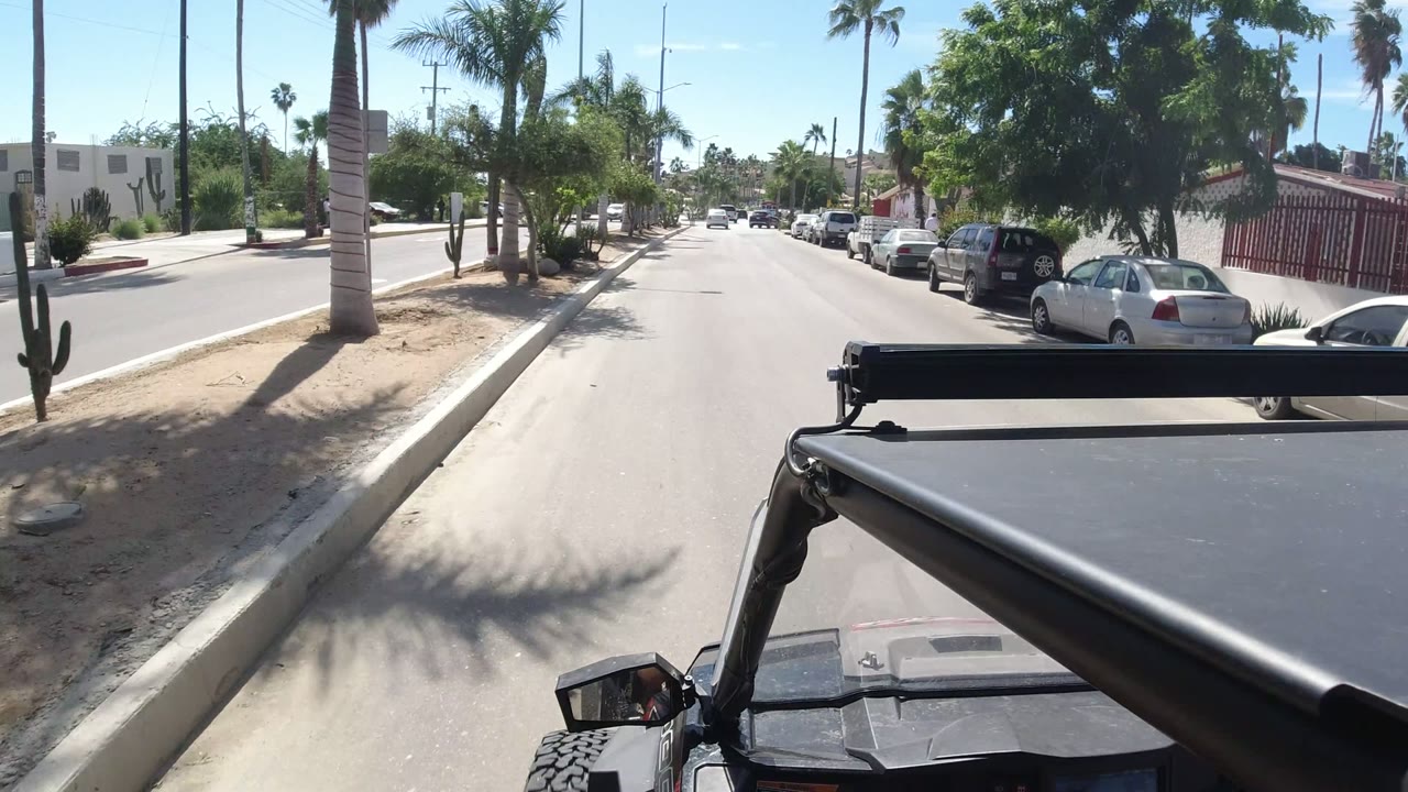 Opening frame of a Los Cabos street with palm trees, parked cars, desert curb landscaping, and the vehicle roof or canopy visible in the foreground, with no visible people.