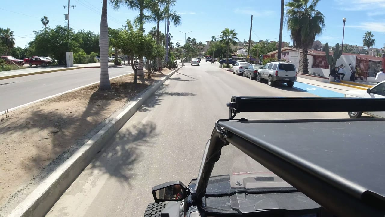 Los Cabos street scene with a white vehicle parked near a wall, palms casting shadows, a painted curb lane area, and no visible people.