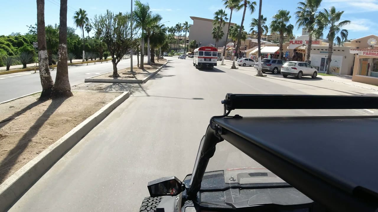 Palm-lined road with a red-and-white bus ahead and storefronts on the right.