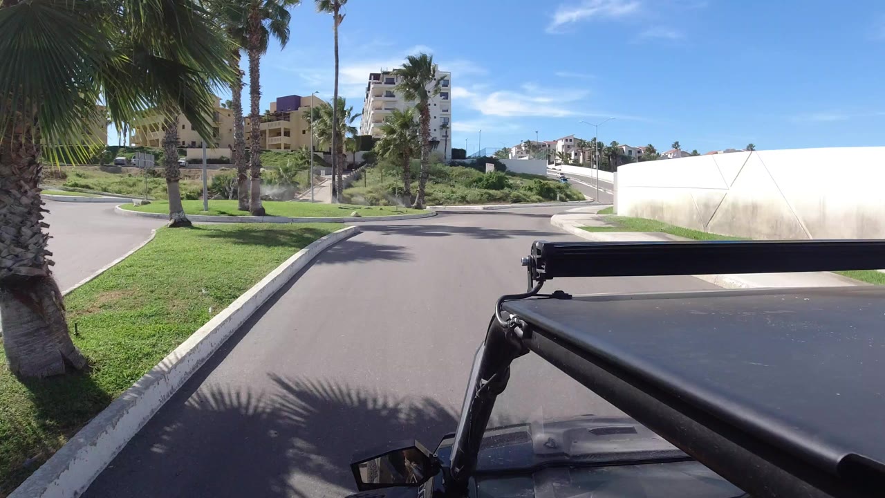 Palm-lined street seen over a dark Wrangler roof and roll bar.