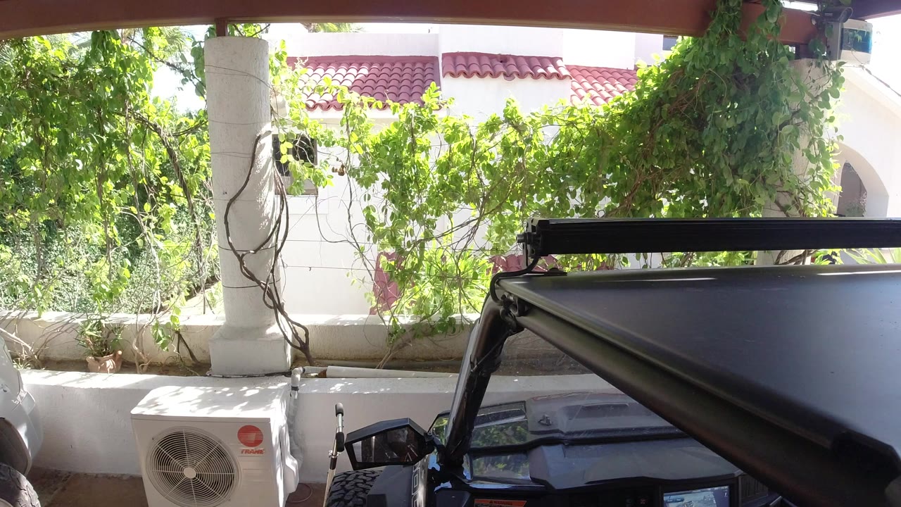 Parked dark Wrangler beside a white wall and leafy vines.