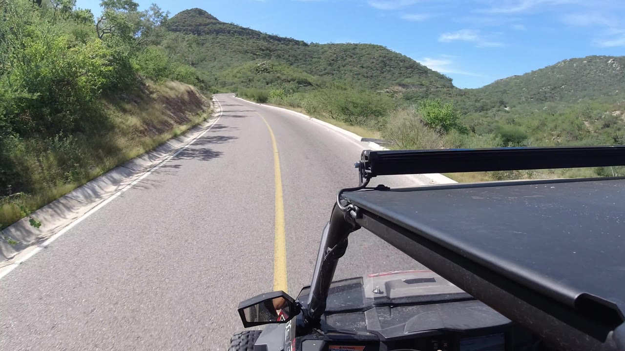 The road edge and shallow embankment pass close on the left as the Los Cabos roadway curves through thick green vegetation, with no visible people.