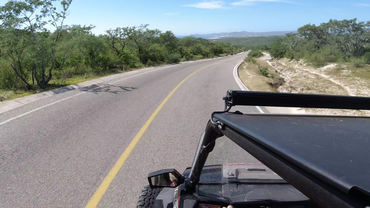 Empty road bend beside trees and dry shoulder