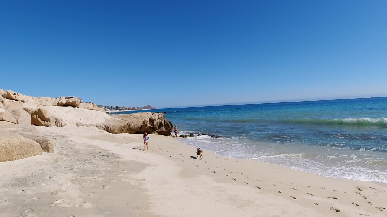 A person stands or moves near the Los Cabos shoreline while a dog is farther along the sand, with low surf and pale rock formations behind them.