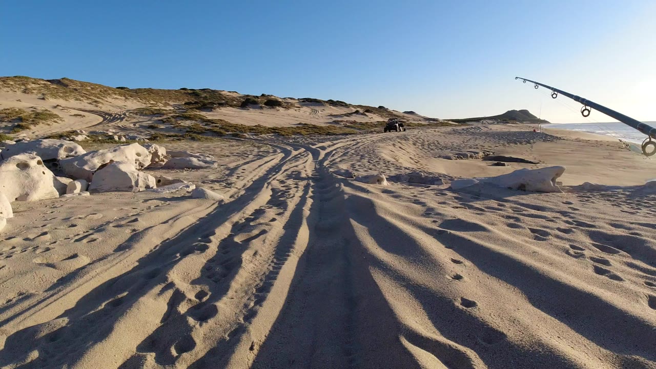 Los Cabos beach view with rippled sand, tire tracks, pale rocks, low dunes, ocean at right, a fishing rod entering from the upper right, and no visible people.