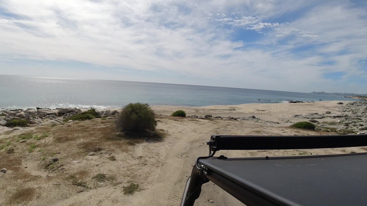 Los Cabos coastal road view continues with tan sand, scrub, a small bush near center, ocean on the left, and no visible people.