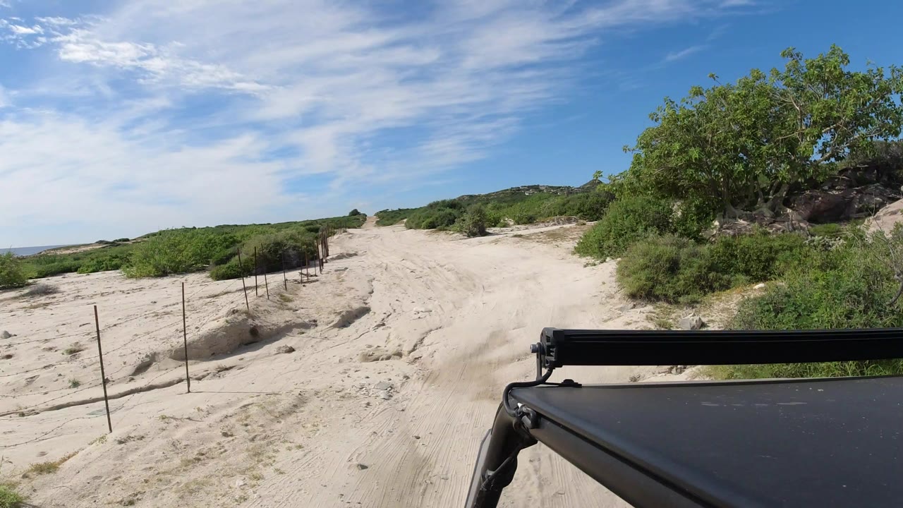 Forward vehicle view of a sandy dirt road in Los Cabos, Mexico, with low bushes, fence posts at left, a leafy tree at right, blue sky, and no visible people.