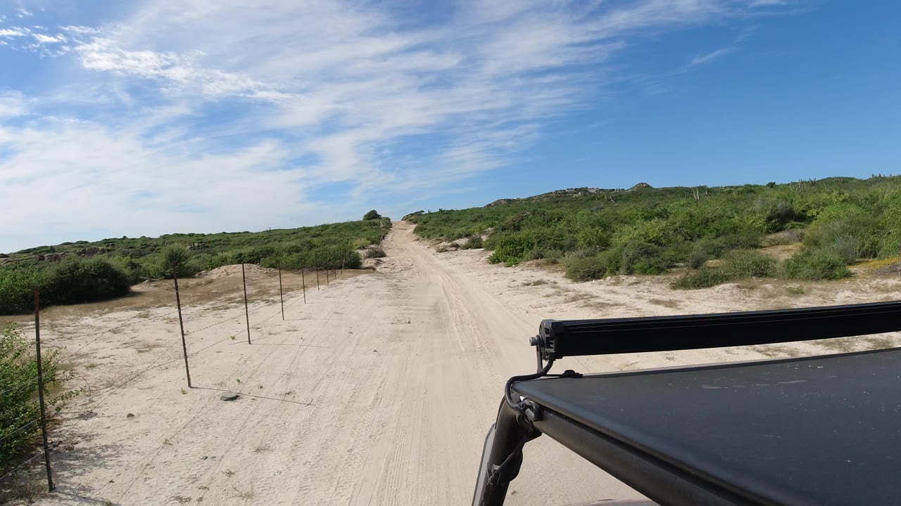 Dirt road passing fence posts and dense green brush under blue sky.
