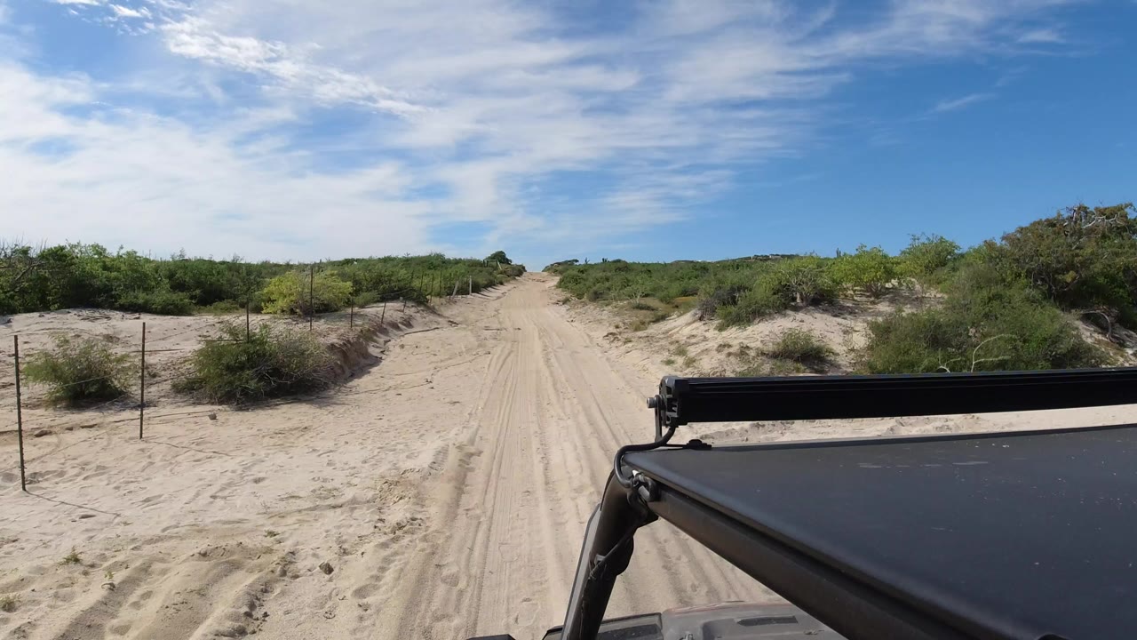 Start of a Los Cabos sandy track seen past the black vehicle roof edge, with low green shrubs, fence posts, blue sky, and no visible people.
