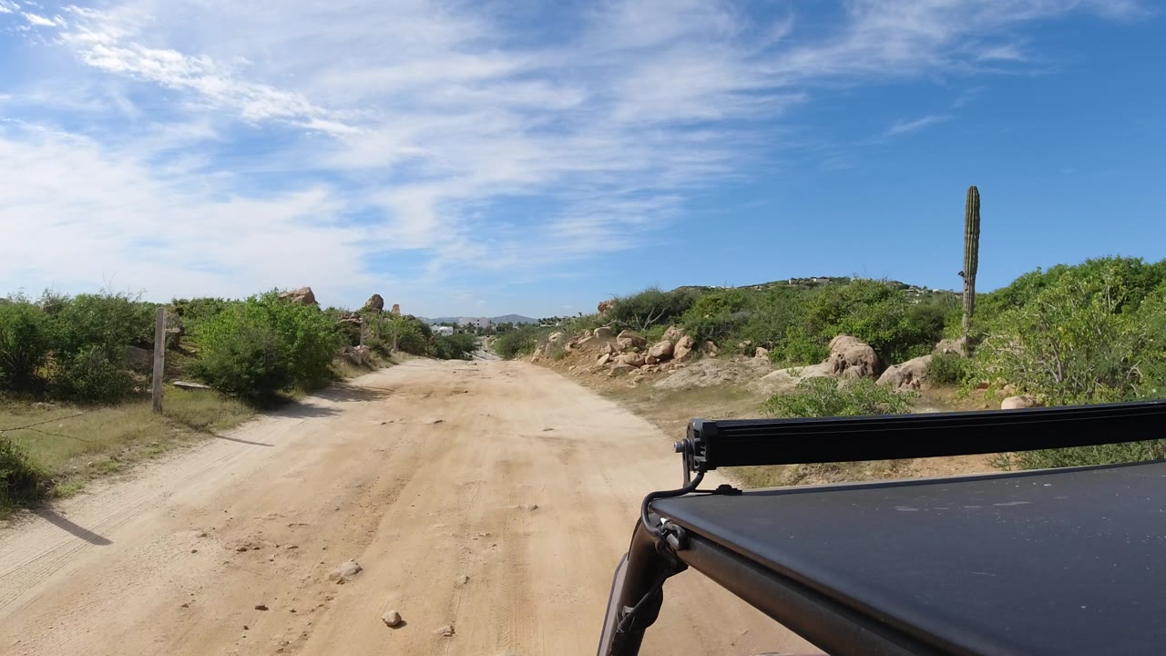 Rocky dirt road with cactus and vehicle edge in foreground