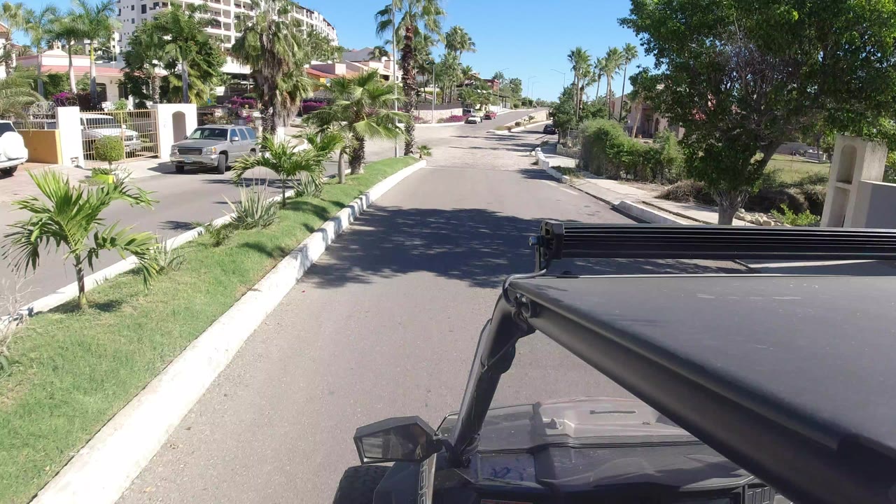 Wrangler hood on a sunny residential street with palms and parked cars