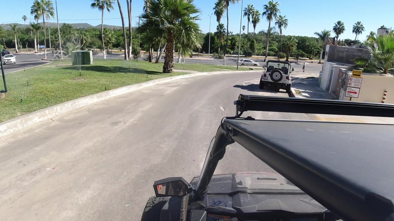 Wrangler passing a driveway near palms and parked vehicles.