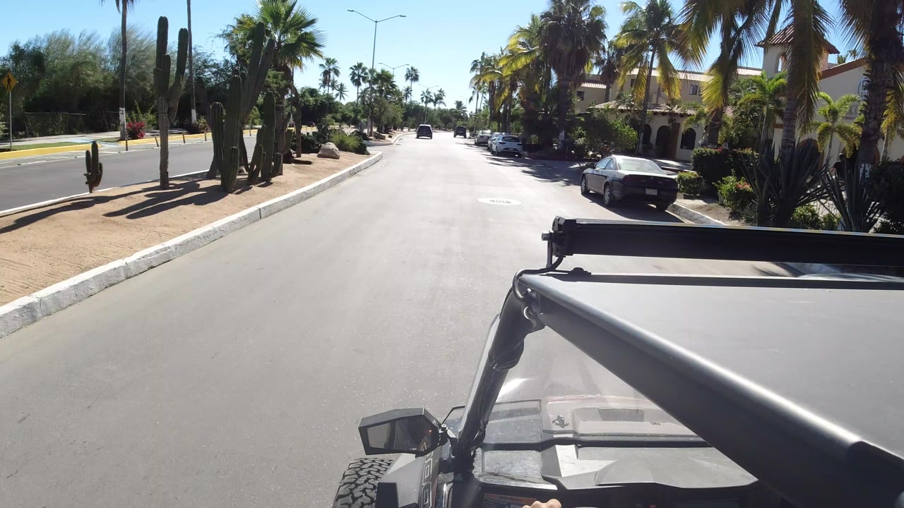 Vehicle POV on a sunny palm-lined asphalt street with parked cars.
