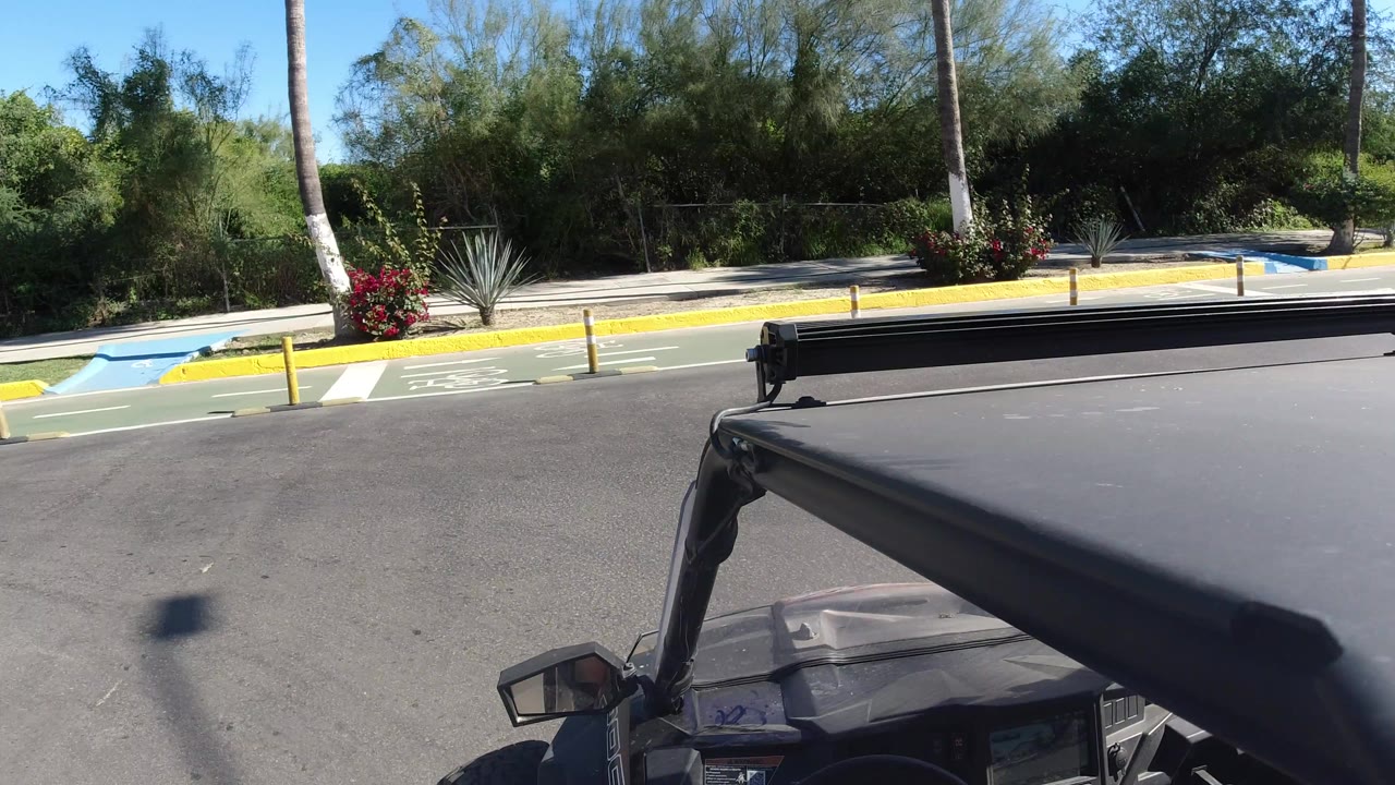 The camera looks across the black vehicle roof toward a quiet Los Cabos roadside with yellow curbs, bollards, palms, dense green landscaping, and no visible people.