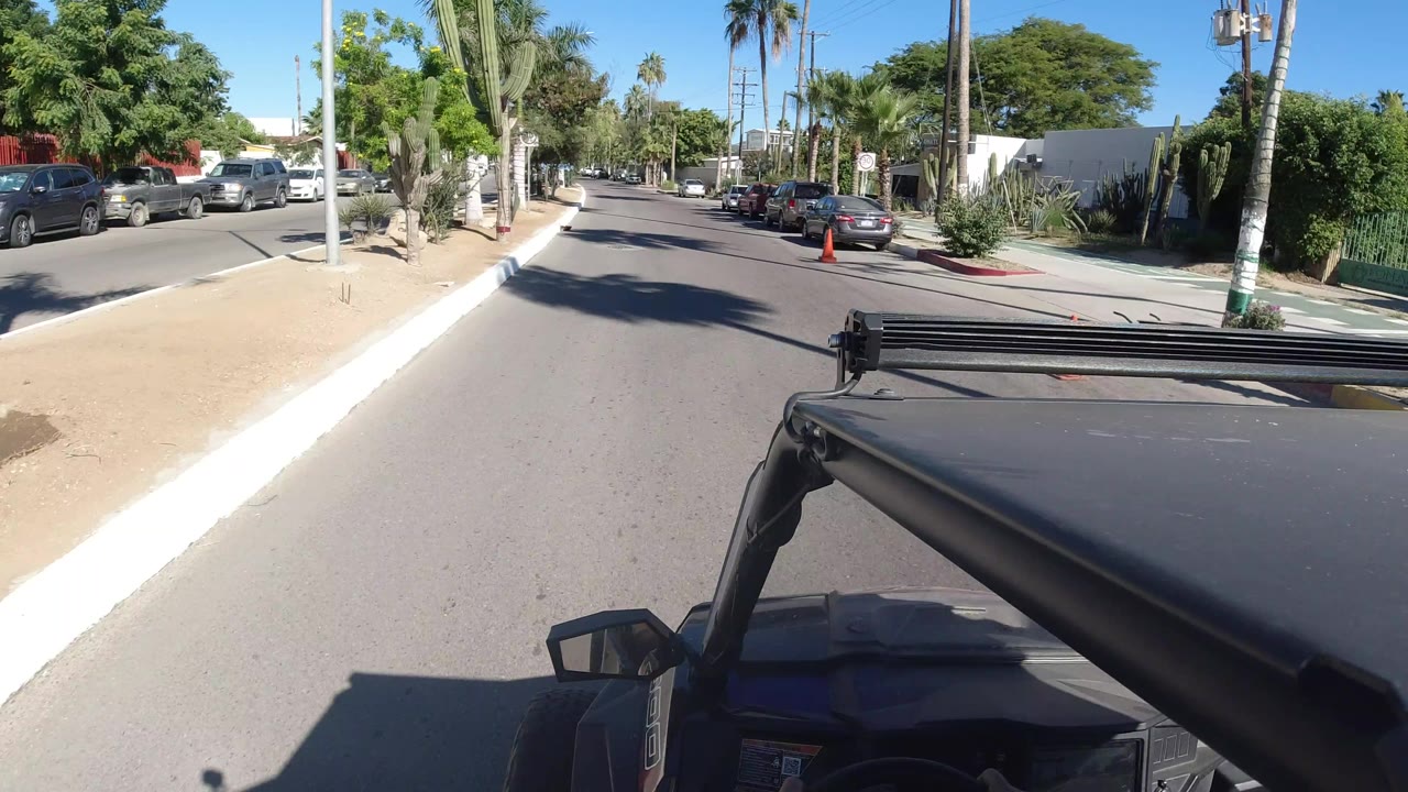 Vehicle-mounted view along a bright Los Cabos street, with a curb, cactus planting, palm trees, parked cars, and no visible people.