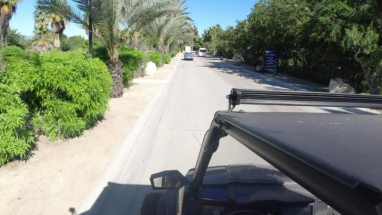 Vehicle POV on a palm-lined paved road in bright sun.