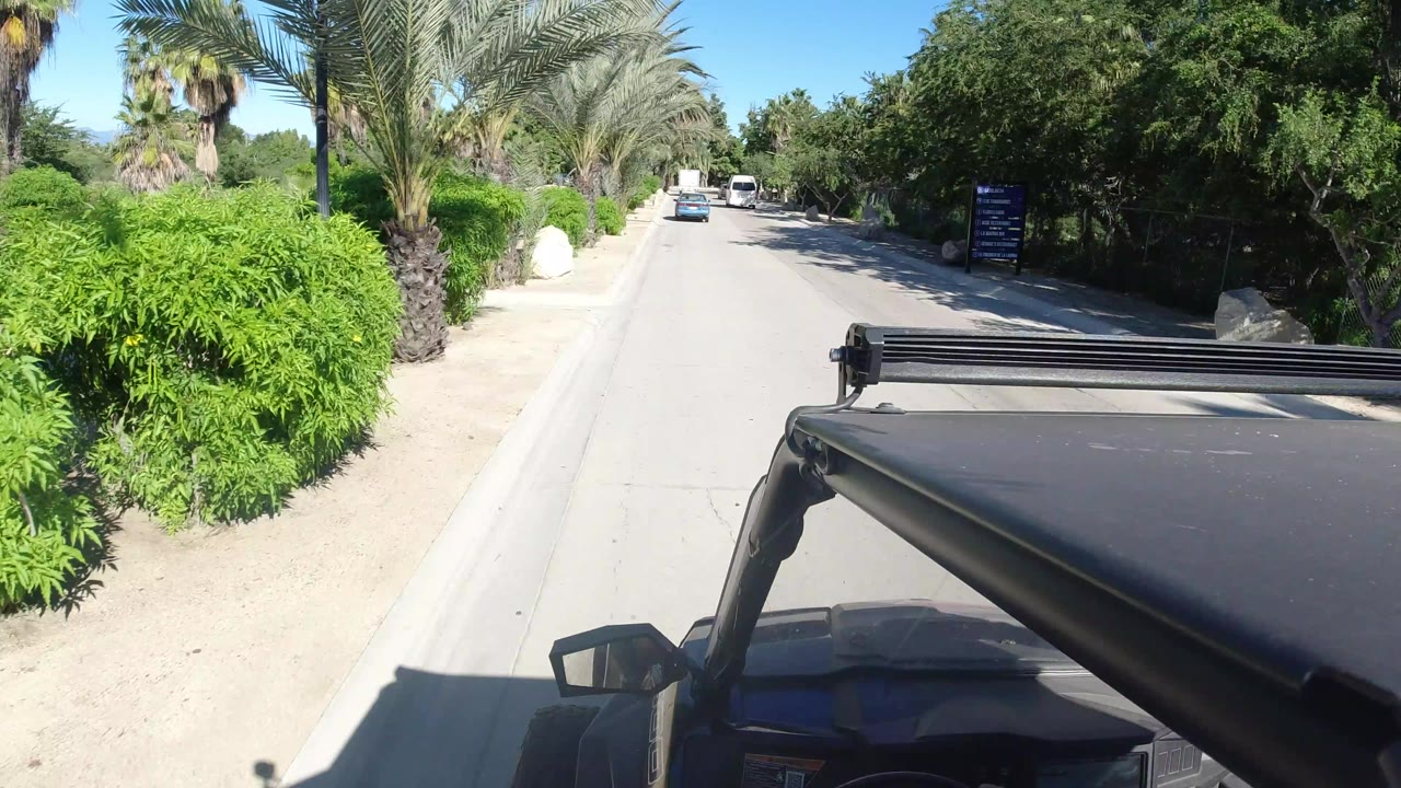 A centered road view in Los Cabos, Mexico, shows the black vehicle roof at lower right, bright sand shoulders, palms, dense greenery, and no visible people.