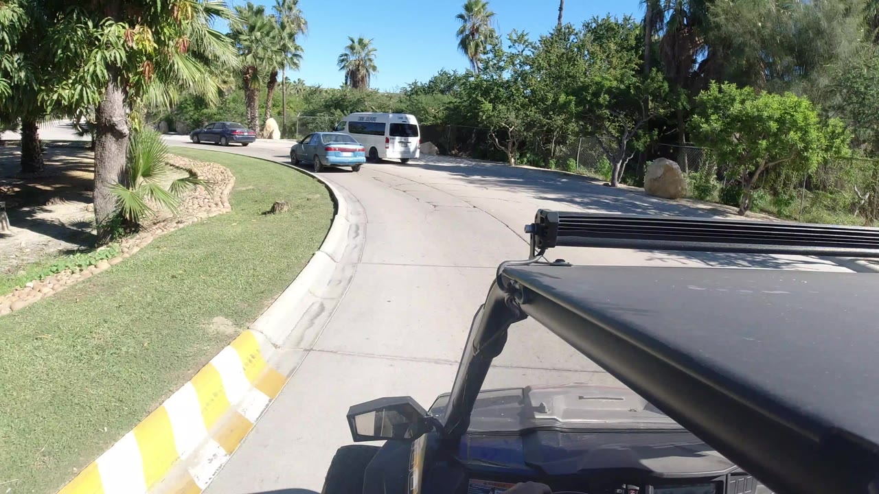 Vehicle POV on a curving palm-lined road with cars ahead.