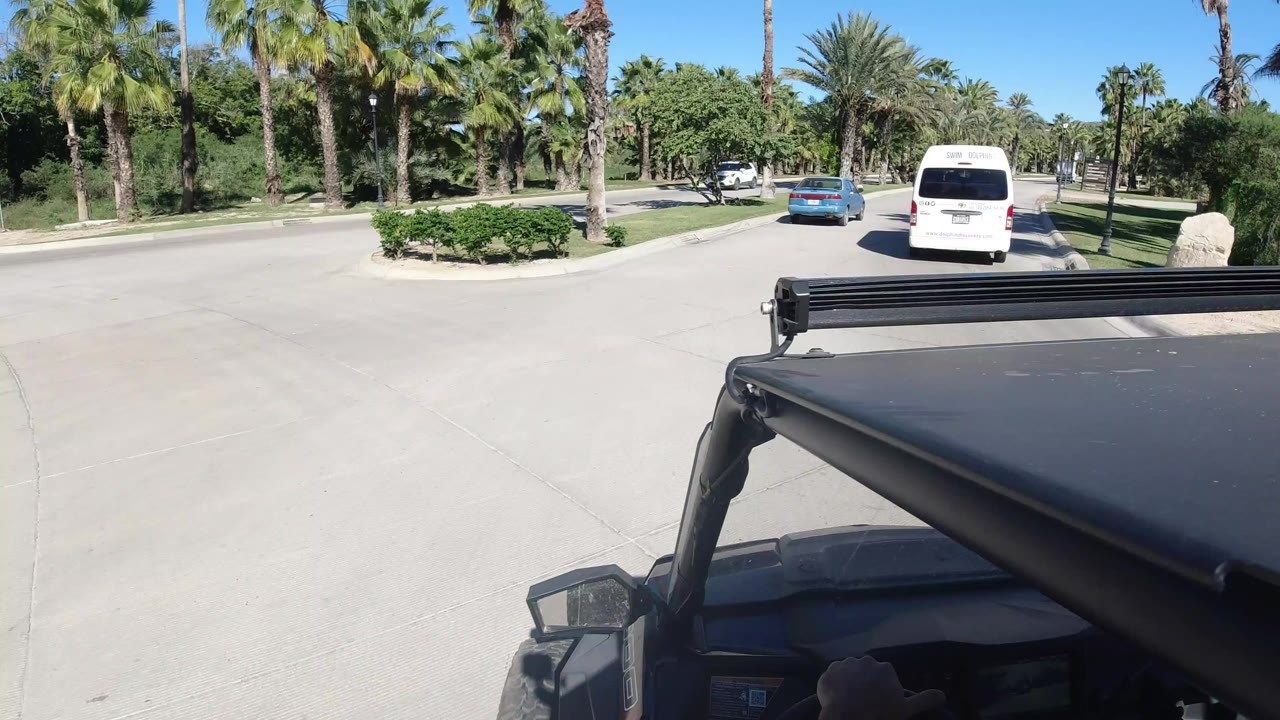 Wrangler passenger view behind cars on a palm-lined road