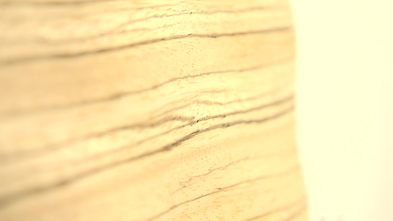 Close-up of pale wooden board grain running across the frame with a bright white vertical background area at right and no visible people.