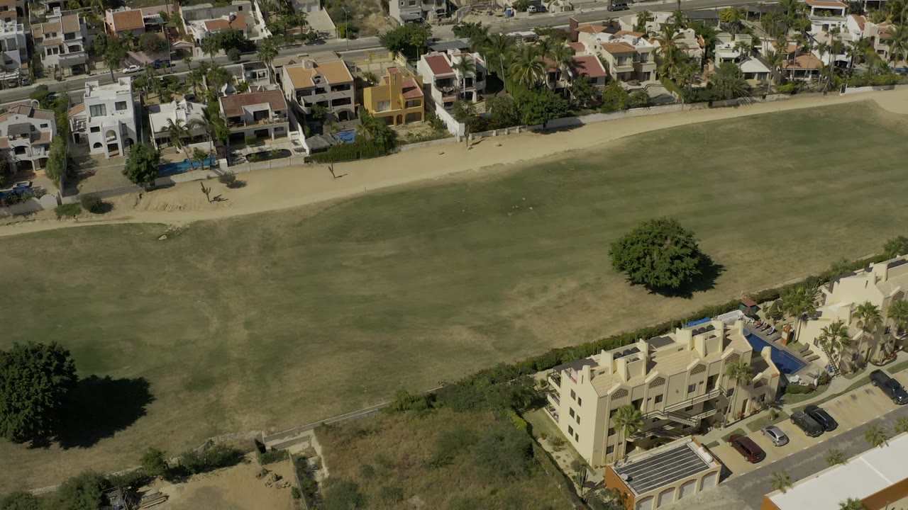 Aerial Los Cabos frame with open grass in the center, a row of homes and palm trees along the road, parked cars, and a large tree casting a dark shadow.