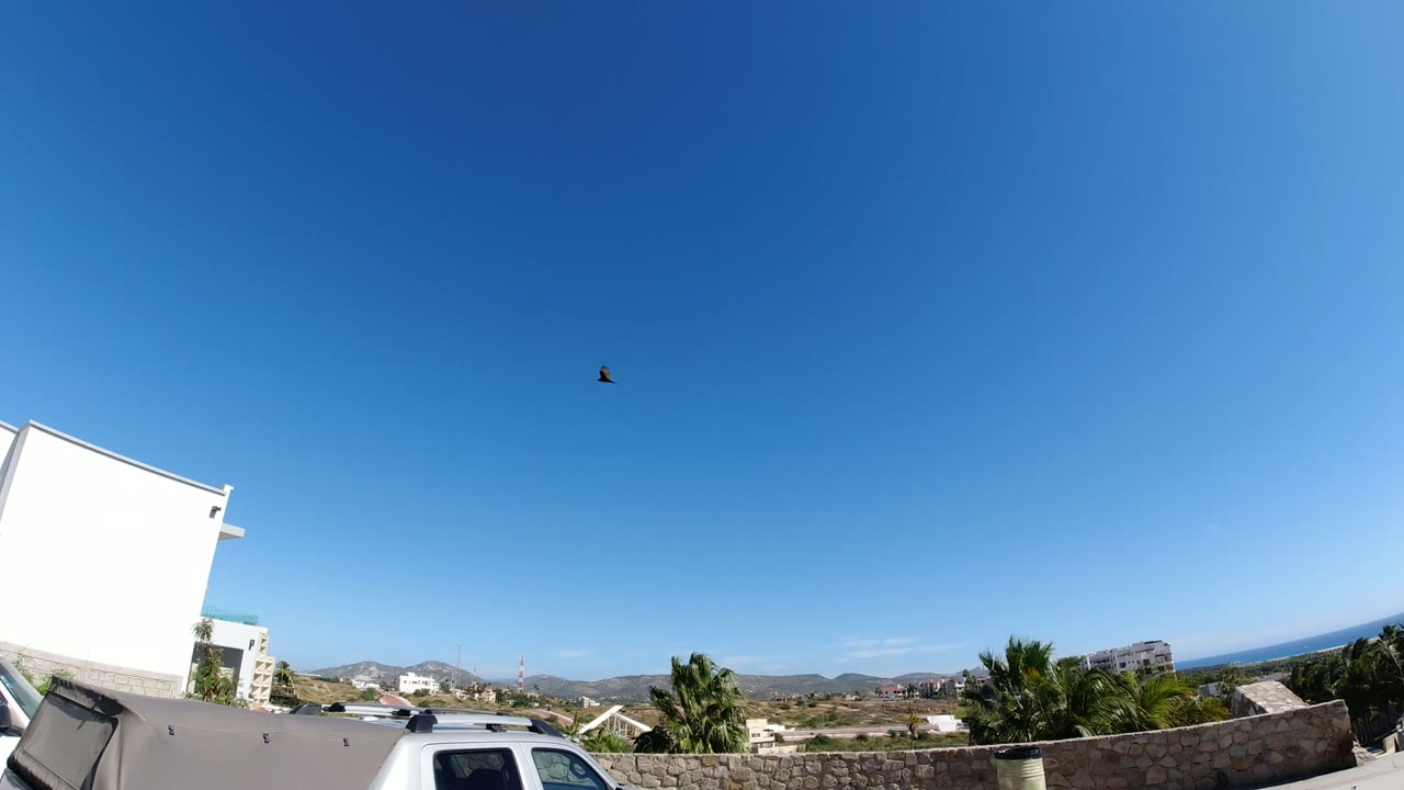 At the start of the San Jose del Cabo clip, a bird is high in the blue sky above white buildings, parked vehicles, low hills, and distant water, with no visible people.
