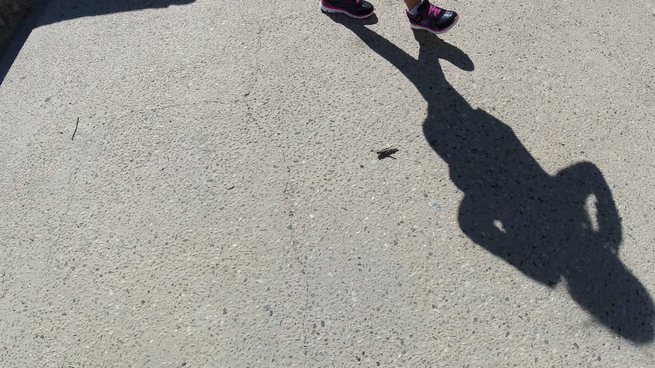 Child's legs and shadow near a small bug on concrete.