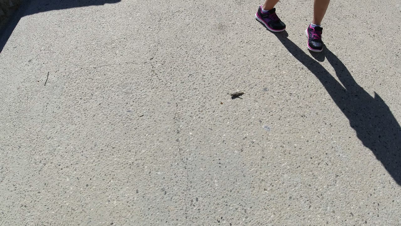 A second into the San Jose del Cabo footage, the child's black and pink shoes stand near the small insect while a sharp shadow falls across the concrete.
