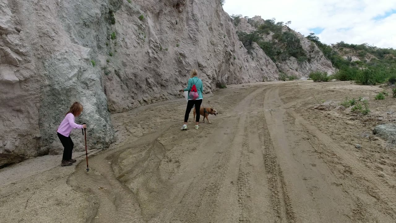A child in a purple top stands near a rock wall with a walking stick while a woman and brown dog move away on a sandy dirt road in San Jose del Cabo, Mexico.