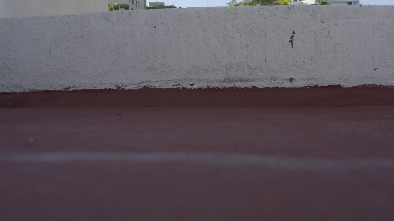 A similar Los Cabos rooftop view holds on the white wall and red surface, with a few distant trees and building edges visible above the parapet.