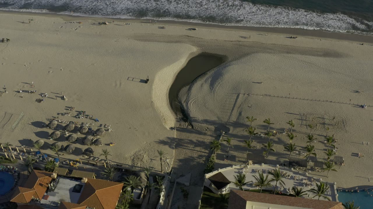 High aerial view in Los Cabos with the curved sand hollow centered, surf breaking along the upper edge, and palm-lined beach amenities below, with no visible people.