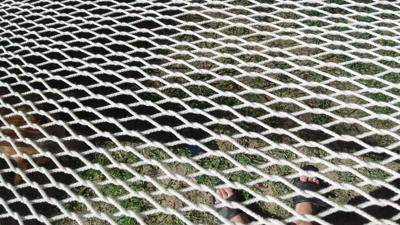 At 0:00 in San Jose Del Cabo, a white diagonal rope grid fills the frame over sandy ground and grass, with a person's feet partly visible near the lower edge.