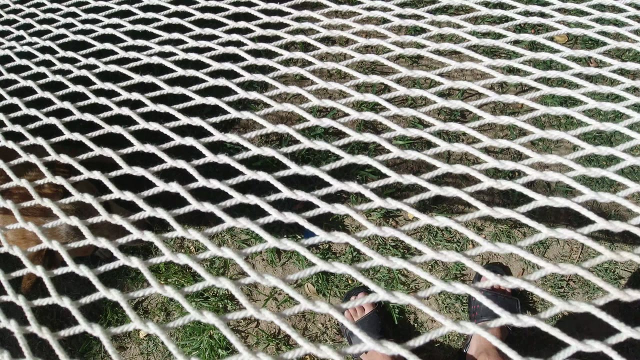 At 0:01 in San Jose Del Cabo, the white woven grid remains dominant while sandy patches and green grass show through, with toes and dark footwear partly seen along the bottom.