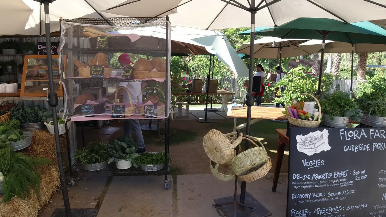 San Jose del Cabo produce stand seen from a slightly rightward view, with a large chalkboard sign, basket of vegetables, metal tubs of greens, hay bales, and shaded shelving behind.