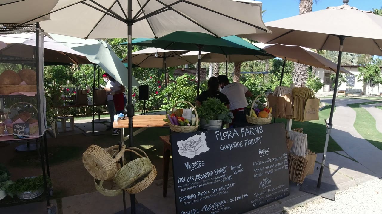 Outdoor market stall with umbrellas, baskets, plants, and a chalkboard sign.